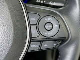 クルーズコントロール機能が付いています。 速度を設定するとアクセルを踏まなくても一定の速度で走ることができます。  高速道路ではとても便利な装置なんです。