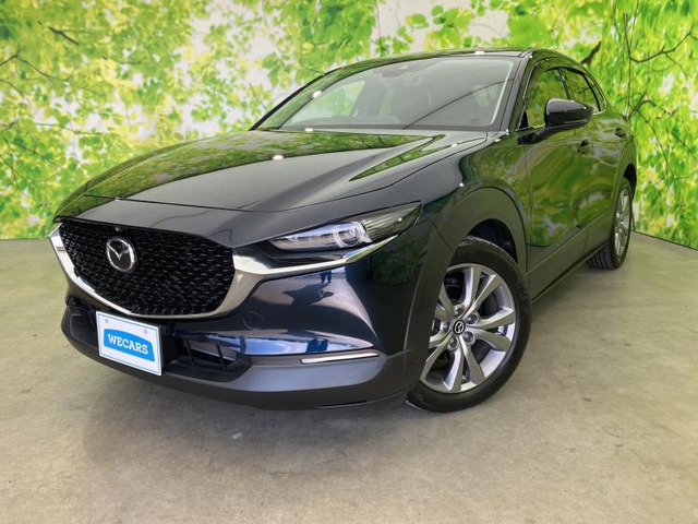 CX-30 2.0 20S Lパッケージ