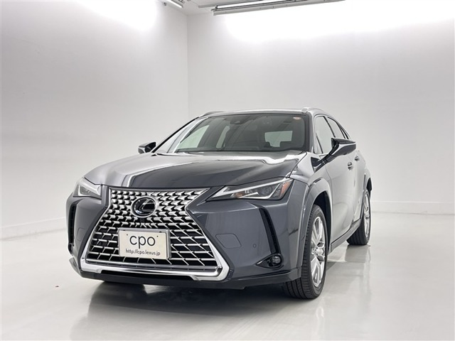 UX 250h グレイスフル エクスプローラー 