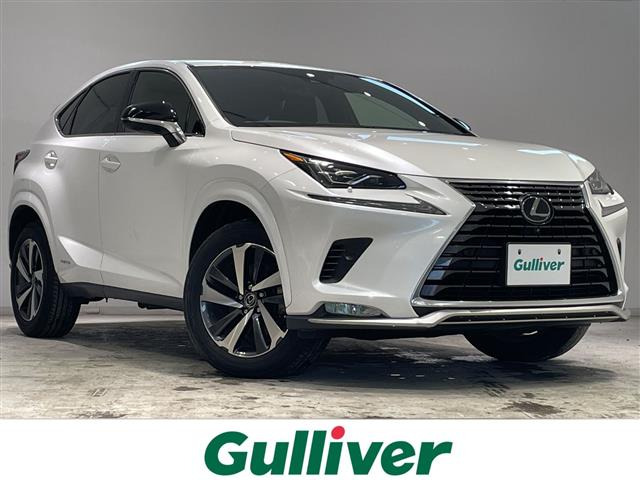 NX 300h スパイス&シック 本革シート サンルーフ