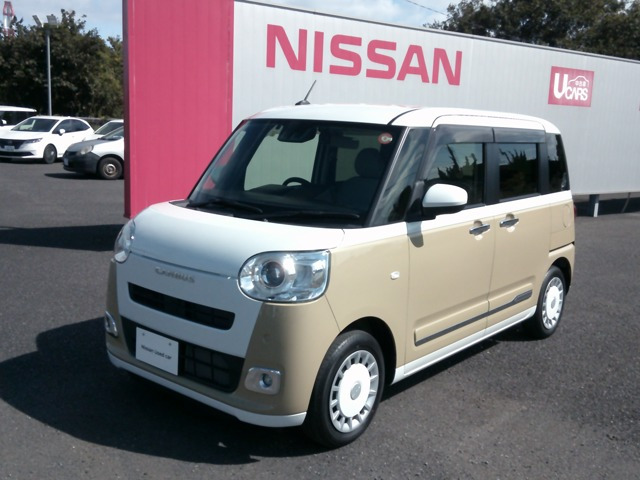 ムーヴキャンバス  ストライプス G