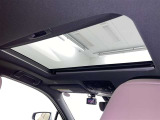 UX 250h グレイスフル エクスプローラー 