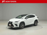 NX 300h Fスポーツ 