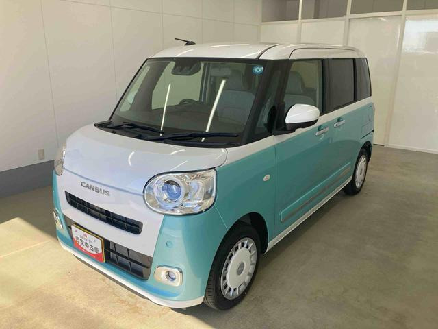 ムーヴキャンバス  ストライプス G