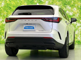 NX 250 バージョンL 