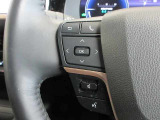 ステアリングスイッチは前方から目を離すことなく操作することが可能。わき見運転の防止に。