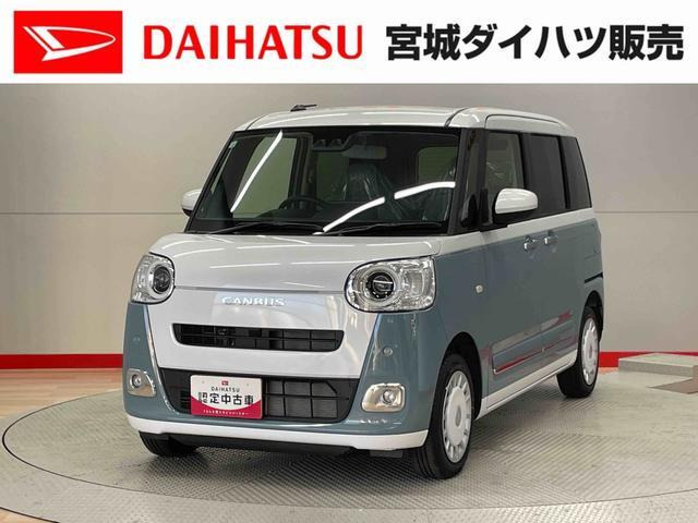 ムーヴキャンバス  ストライプス G