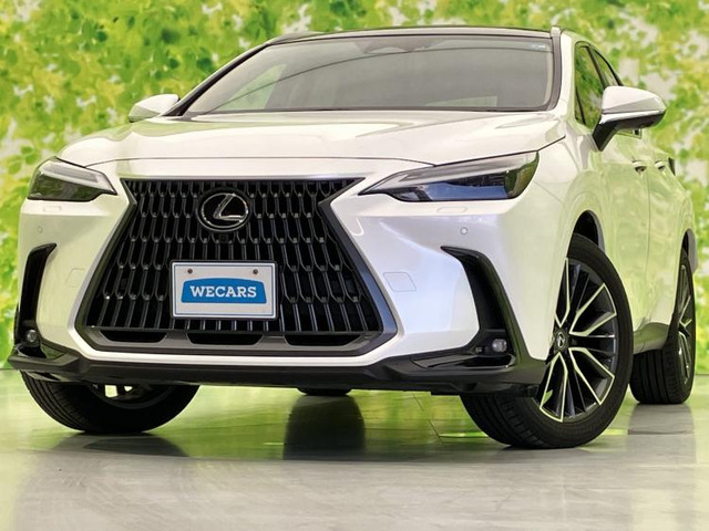 NX 250 バージョンL