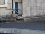 【アクティブ・ドライビング・ディスプレイ】運転に役立つ情報を、前方の視線の先に焦点を合わせやすいように表示。メーターパネルやナビ画面への視線移動を減らし安全運転をサポートします。