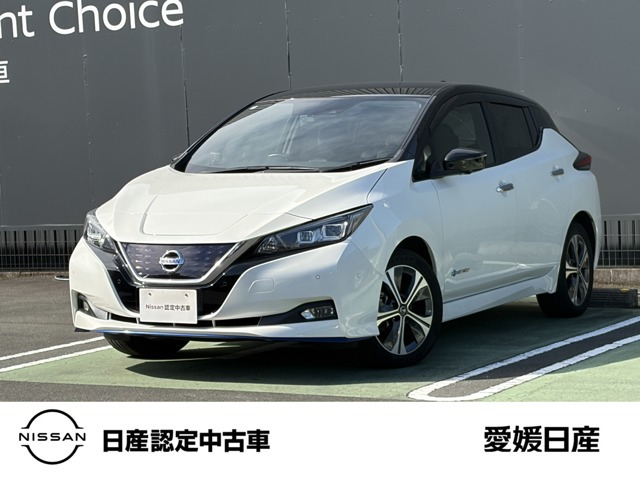 リーフ e+ G 