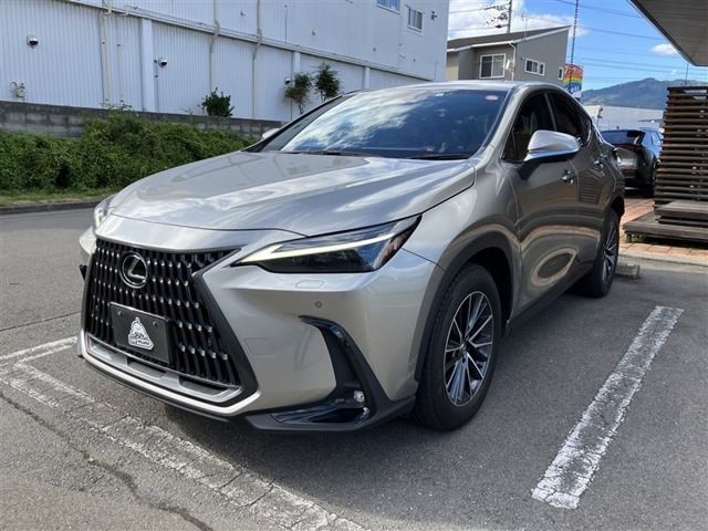 NX 250 バージョンL 4WD