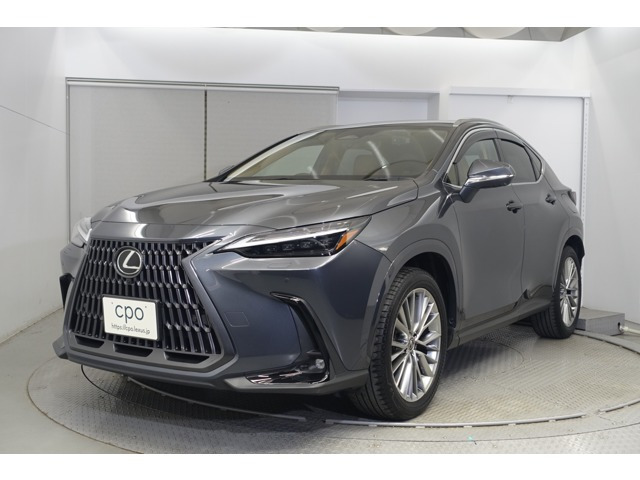 NX 250 バージョンL NX 250 バージョンL