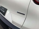 2.0Lガソリン車