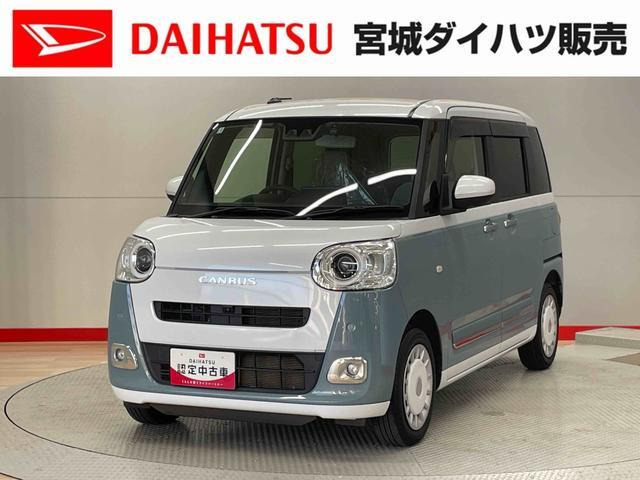 ムーヴキャンバス  ストライプス G