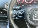 【ステアリングスイッチ】