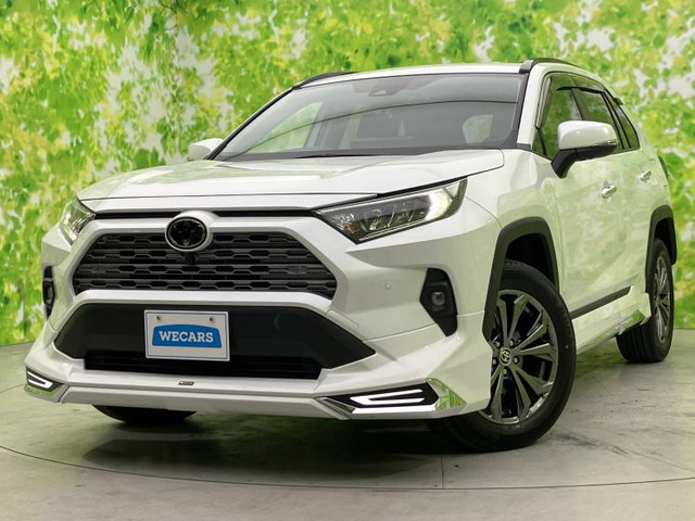 RAV4 2.0 G 4WD
