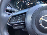 ステアリング左にはオーディオ系システムがまとまっており、運転中の快適性をサポートしてくれます。