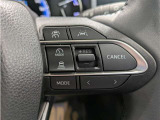 ステアリングスイッチ付き。前方から目を離すことなく操作することが可能です。