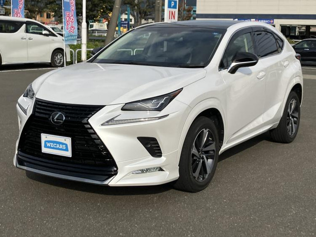 NX 300 ブラック シークエンス