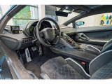 Roof lining Alcantara with S-Trim