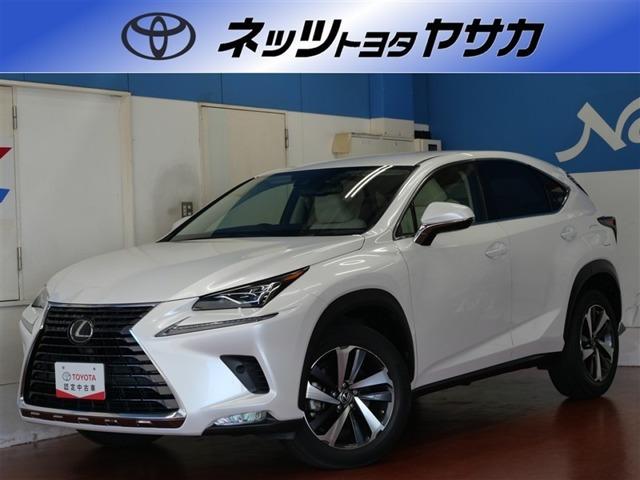 NX 300 Iパッケージ