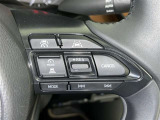 ステアリングスイッチ付き。前方から目を離すことなく操作することが可能です。