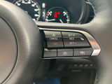 登録した速度に保ち走行するレーダークルーズコントロール付き。高速やバイパスでの運転支援に役立つ便利アイテムです!