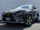 施工前と施工後の比較写真です。ドライブシャフトやブレーキバックプレート・アンダーカバーを取り外し、フレームに施工させていただきます。
