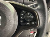 クルーズコントロールを装備しています。高速道路などで一定の速度で走ってくれるので運転が楽ですよ!速度を設定できますので、スピードの出しすぎにも注意できます。