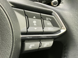 ステアリング上のスイッチに、SETやRESなどの表示が並びます。運転中も手元で機能を選びやすい配置で、視線移動を抑えながら必要な操作を行えるのが便利です。
