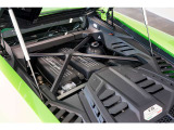 Transparent Engine Bonnet