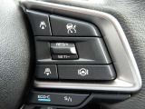 レーダークルーズコントロール付車です。こちらのステアリングスイッチで設定が可能で、車間距離の認識、車速の設定、追従走行等が全車速において可能です。高速走行時等で大変便利です。