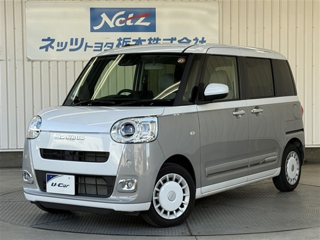 ムーヴキャンバス  ストライプス G