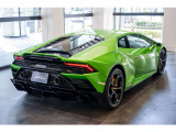 Body Color Verde Selvans