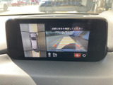 後方の映像に加えて車両周囲の様子も確認できる表示で、駐車時の後退をサポートします。ガイド線も表示され、周囲に気を配りながら操作しやすい装備です。