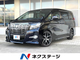 4WD 両側電動ドア SDナビ バックカメラ 禁煙車 レザーシート