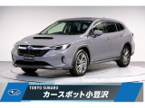 サンルーフ付きアステロイドグレーのレイバック入荷です前後ドラレコ 全周囲カメラ タイプC電源 CD/DVDプレーヤー付き