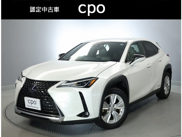 UX 250h バージョンC 