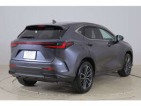 NX  