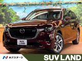 全周囲カメラ レーダークルーズ ブラインドスポットモニター 白革