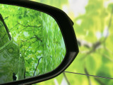 ミラー越しに車体側面と後方の様子を確認しやすく、周囲の状況を把握する際に役立ちます。視界に映る範囲を確かめながら運転できるため、駐車時や車線変更時にも心強い装備です。