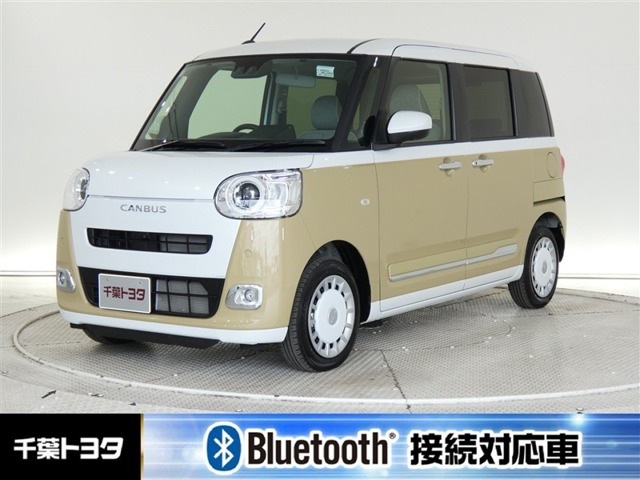 ムーヴキャンバス  ストライプス G