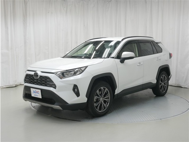 RAV4 2.0 G 4WD