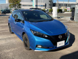 充電ポート部になります、運転席側の後部に急速充電と普通充電用の二つがございます。