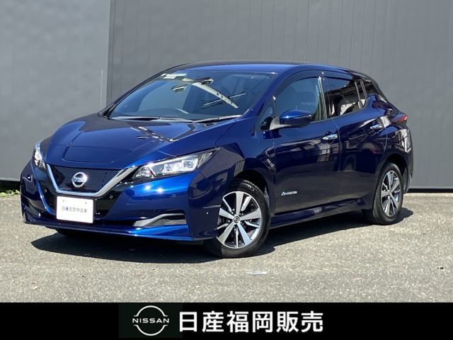 リーフ e+ X