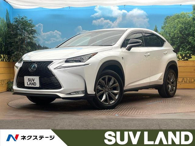 NX 300h Fスポーツ