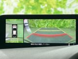 後方映像に加えて周囲の状況も画面で確認でき、駐車時の周辺確認をサポートします。ガイド線も表示されるため、車庫入れや狭い場所での取り回しに役立つ装備です。