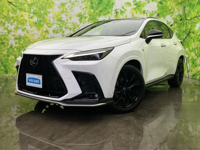NX 350h Fスポーツ