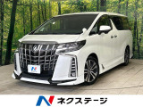 TRDエアロ BIG-X11型ナビ フリップダウンモニター バックカメラ
