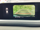 後方の映像に加えて車両周辺の表示や目安線も確認でき、駐車時の後退をサポートします。周囲を目視で確かめながら活用できるため、車庫入れや狭い場所での操作に便利です。